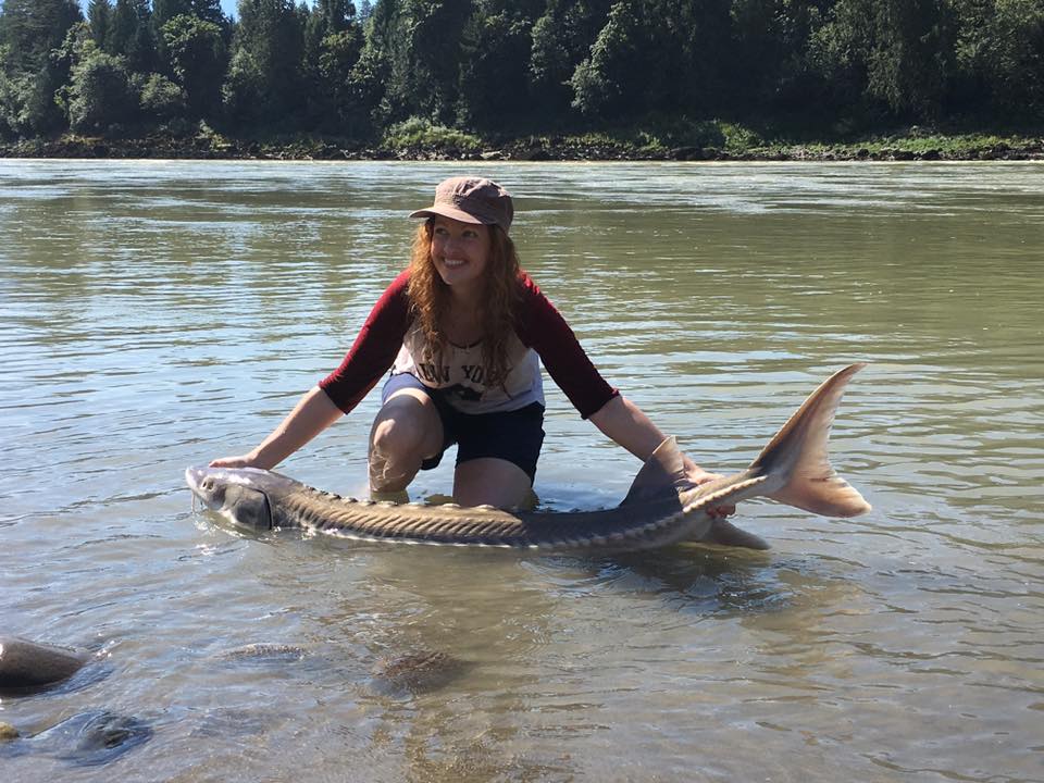 sturgeon-guided-fishing-british-columbia