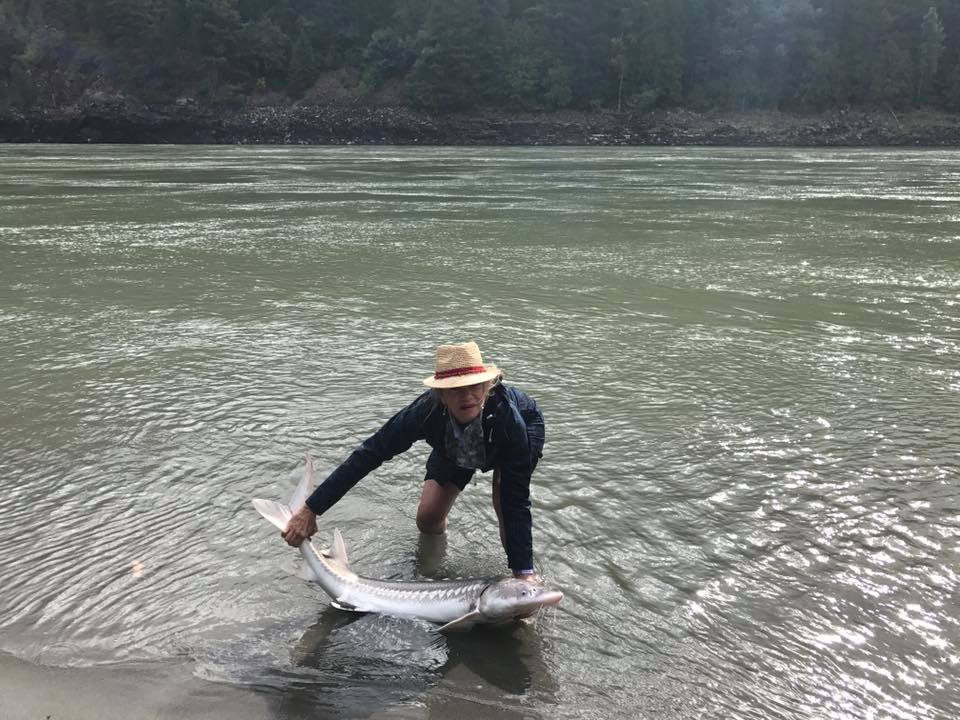 sturgeon-guided-fishing-hope-bc