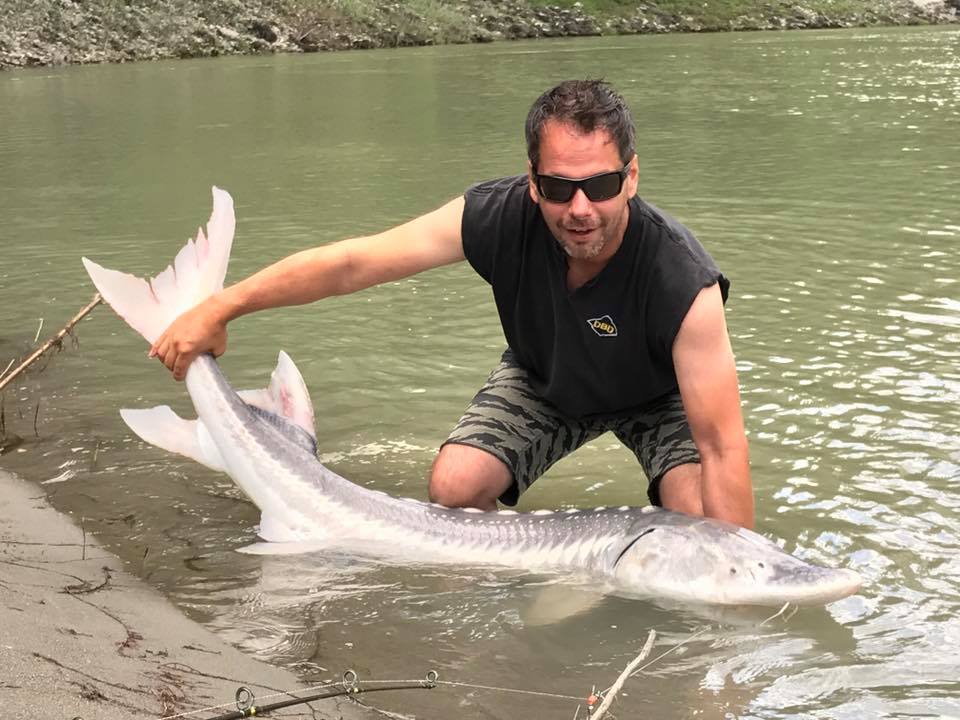 bo-big-sturgeon-fraser-river (2)