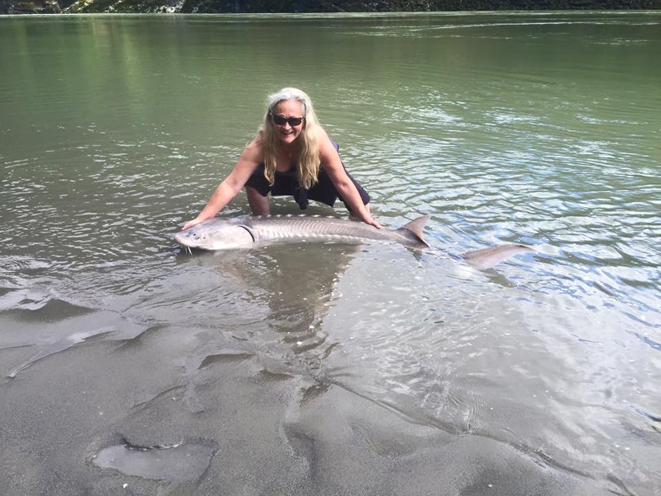 catch-release-sturgeon-fraser-river