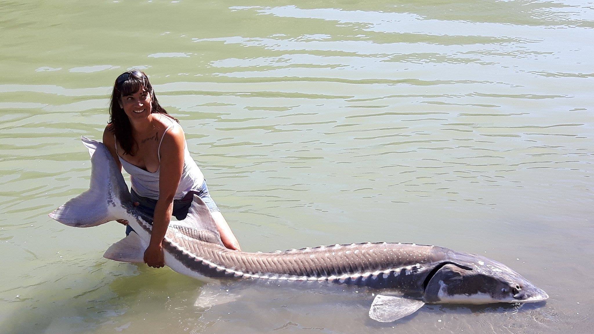 fishing-charter-fraser-river-sturgeon